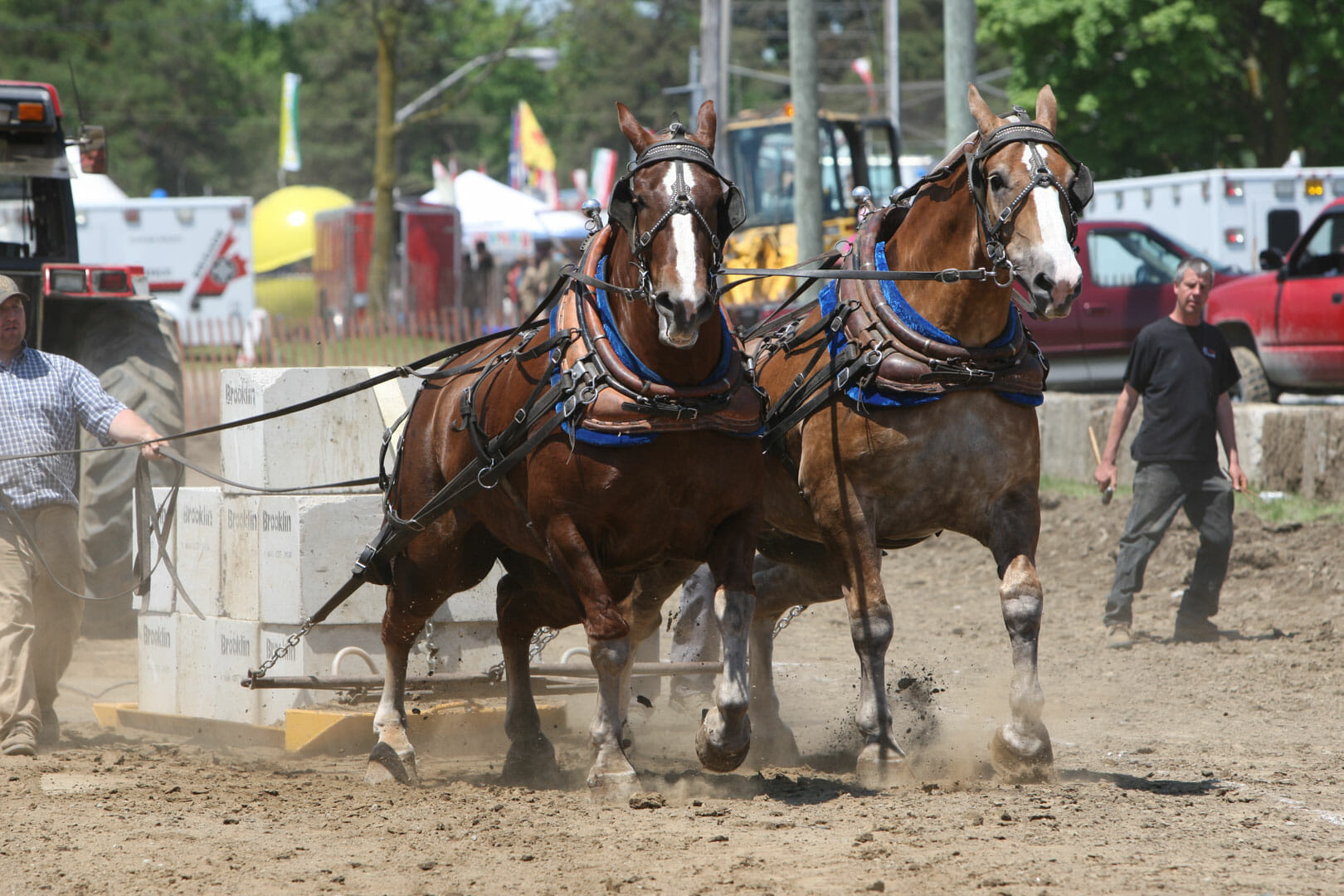 Horse Pull Brooklin 2011